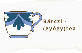 Fogyatékosságtudomány a gyógypedagógus képzésben. A Bárczi-(Gyógy)tea programsorozat 11. évad.