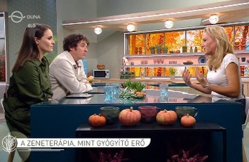 A zeneterápia, mint gyógyító erő (Duna TV)